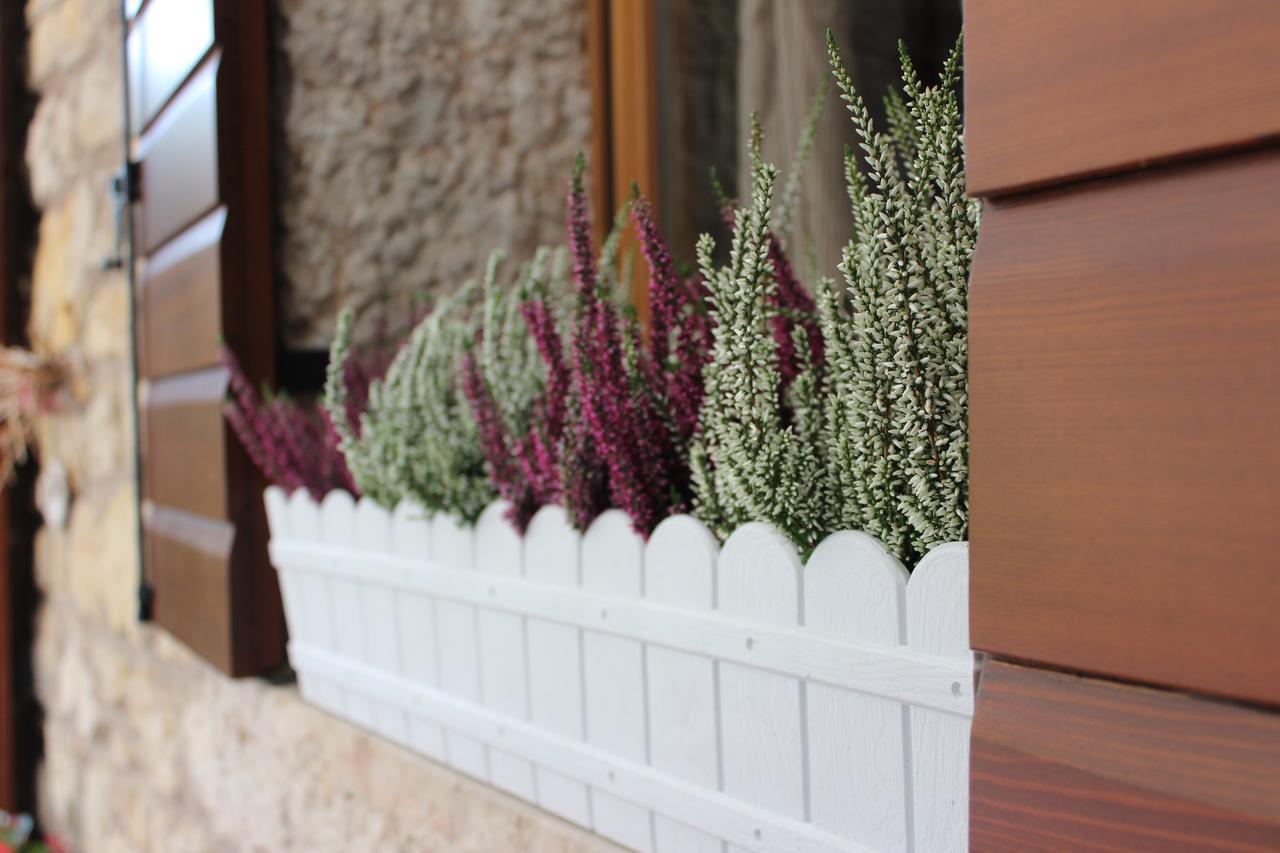 B&B - Relais De Charme La Caminella San Pietro in Cariano Εξωτερικό φωτογραφία